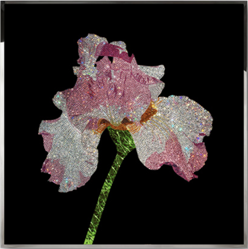 Tranh pha lê FLOWER-MJ